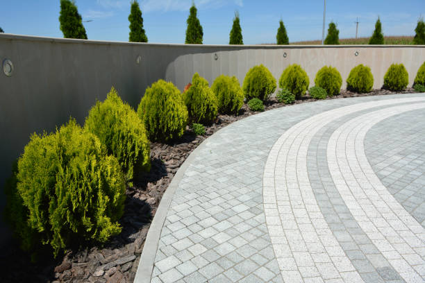 Reasons to Select Us for Your Driveway Paving Requirements in Aventura, FL